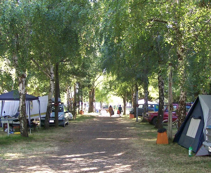 Zona de Carpas