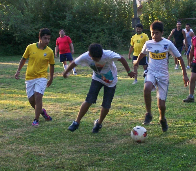 La pichanga